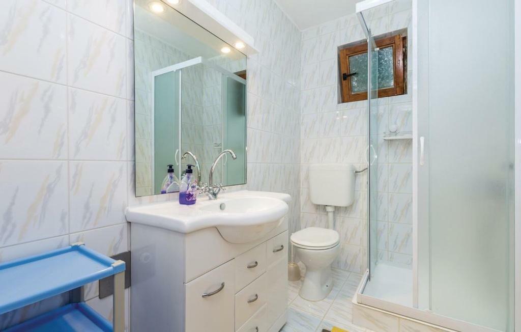 Hause Lupic Apartma *